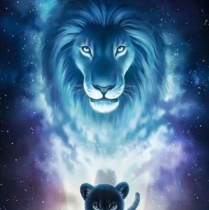 Meet your Posher, Noah